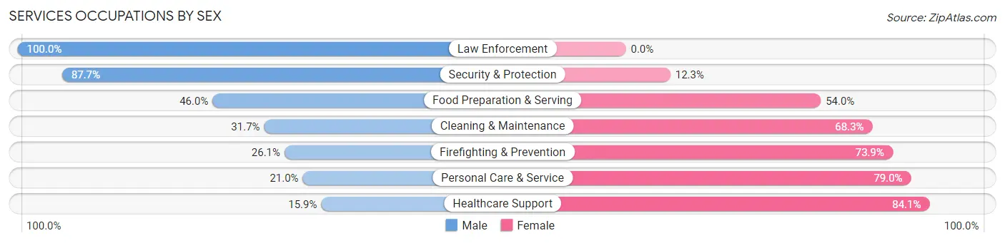 Services Occupations by Sex in Zip Code 19438