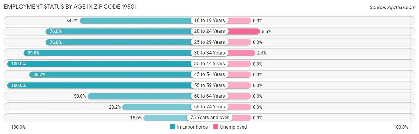Employment Status by Age in Zip Code 19501