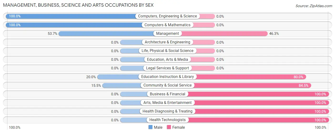 Management, Business, Science and Arts Occupations by Sex in Zip Code 19501