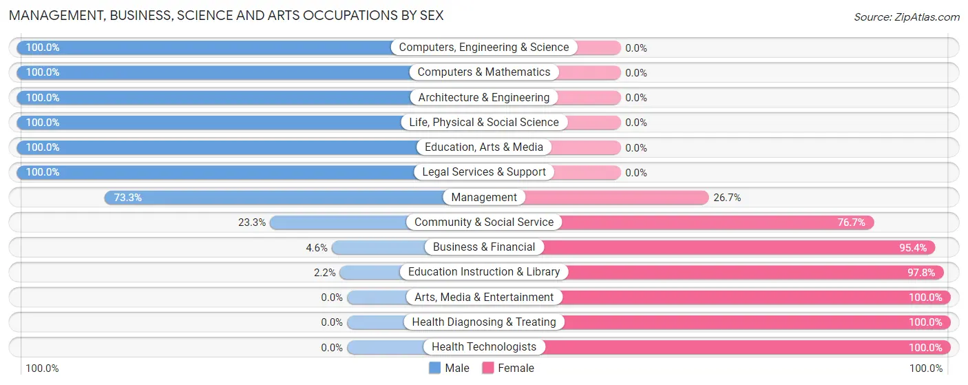 Management, Business, Science and Arts Occupations by Sex in Zip Code 19505
