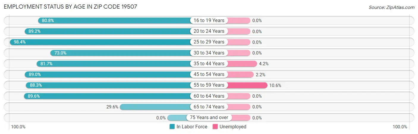 Employment Status by Age in Zip Code 19507