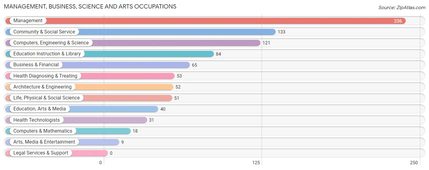 Management, Business, Science and Arts Occupations in Zip Code 19507