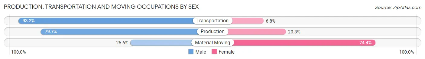 Production, Transportation and Moving Occupations by Sex in Zip Code 19507