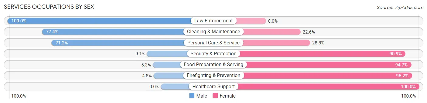 Services Occupations by Sex in Zip Code 19507