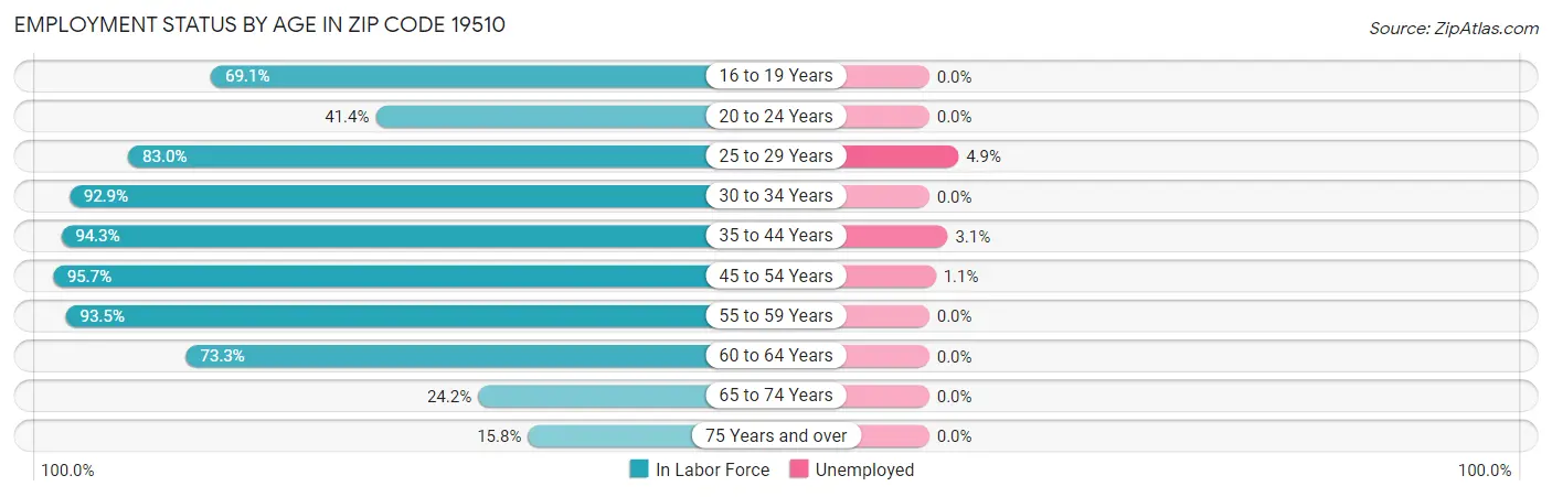 Employment Status by Age in Zip Code 19510