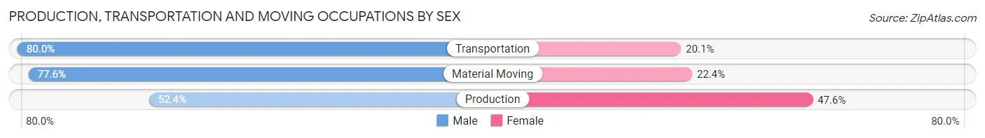 Production, Transportation and Moving Occupations by Sex in Zip Code 19526