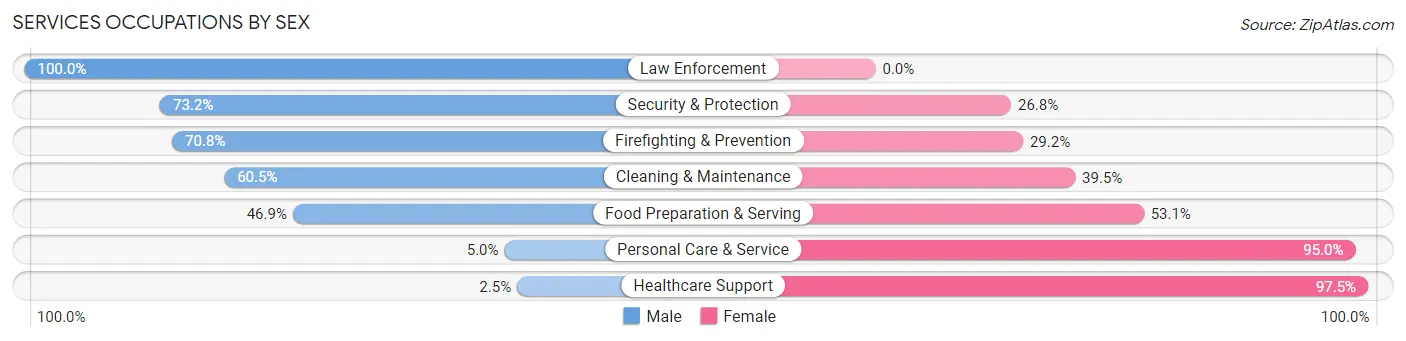 Services Occupations by Sex in Zip Code 19605