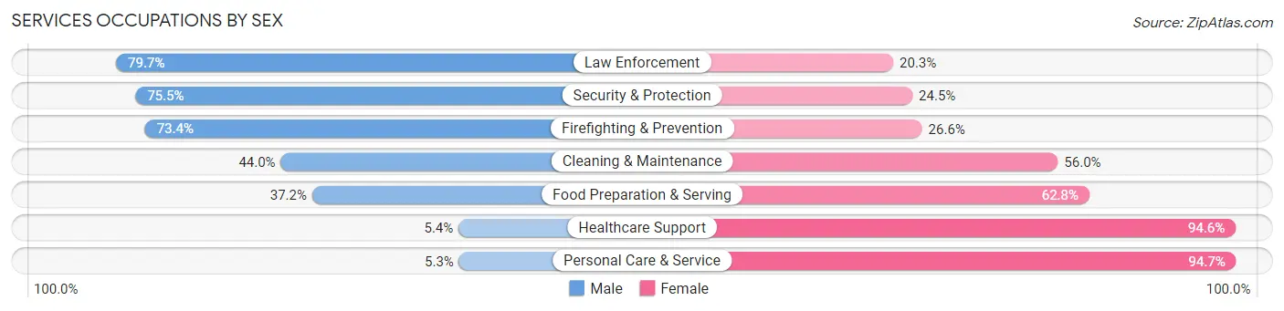 Services Occupations by Sex in Zip Code 19606