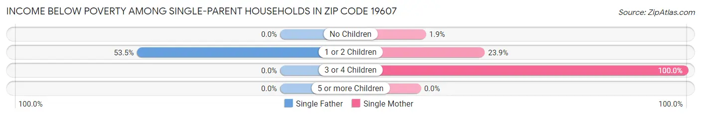Income Below Poverty Among Single-Parent Households in Zip Code 19607
