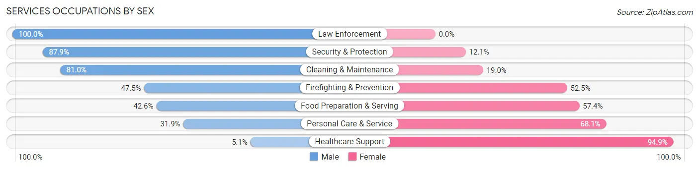 Services Occupations by Sex in Zip Code 19607
