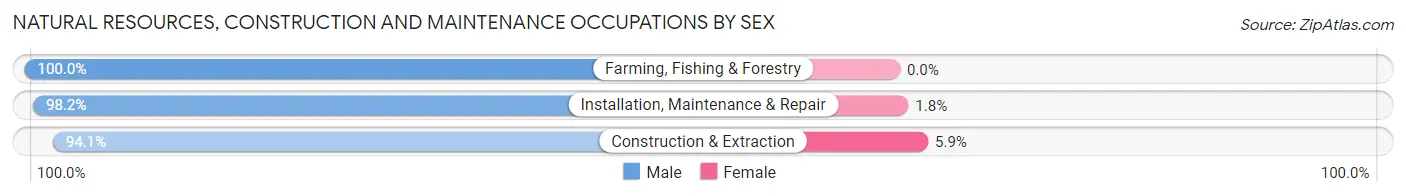 Natural Resources, Construction and Maintenance Occupations by Sex in Zip Code 19608