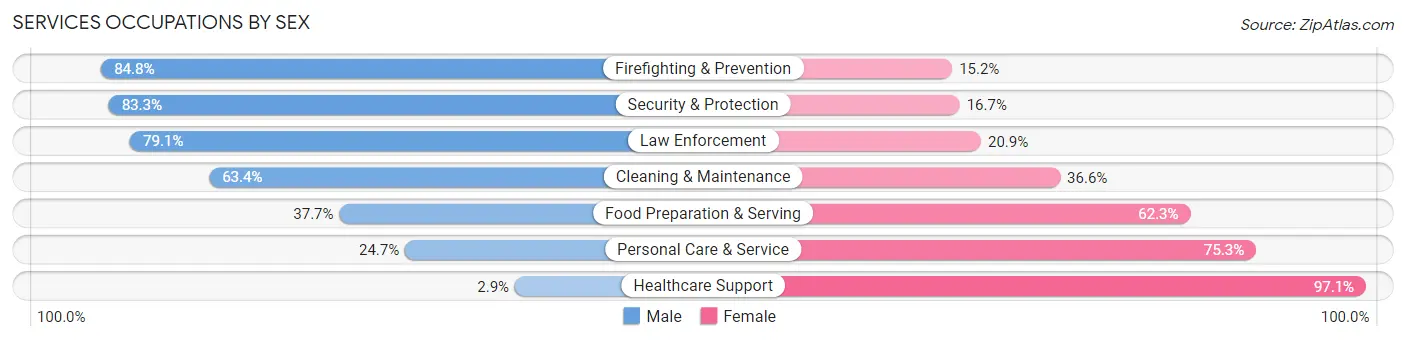 Services Occupations by Sex in Zip Code 19608