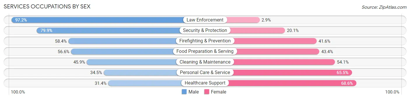 Services Occupations by Sex in Zip Code 19701