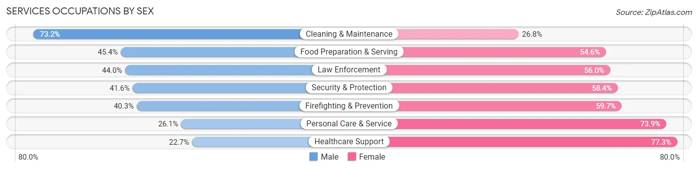 Services Occupations by Sex in Zip Code 19702