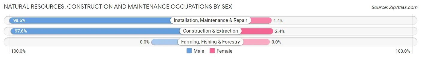 Natural Resources, Construction and Maintenance Occupations by Sex in Zip Code 19703