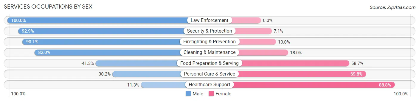 Services Occupations by Sex in Zip Code 19703