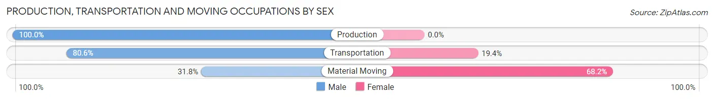 Production, Transportation and Moving Occupations by Sex in Zip Code 19706