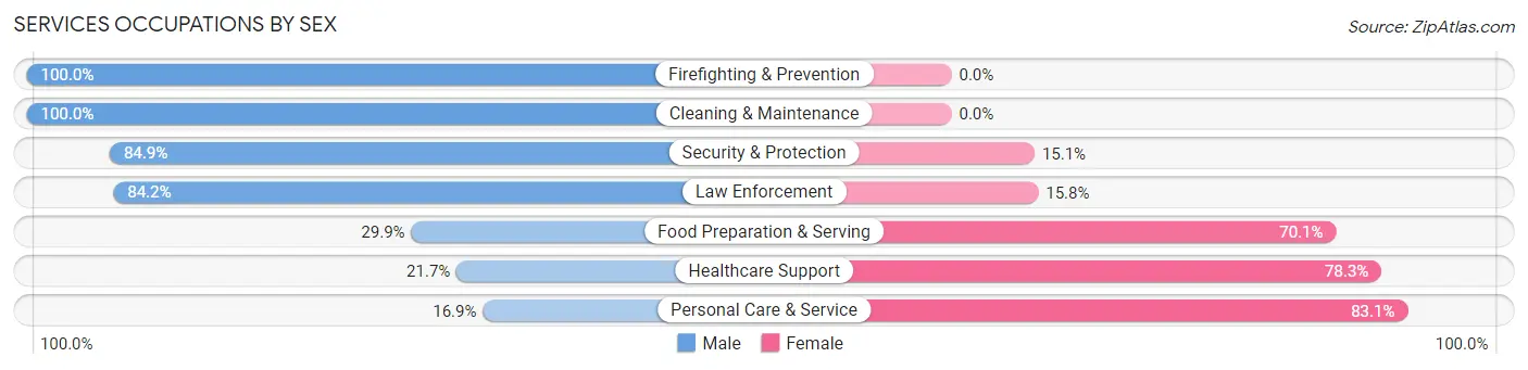 Services Occupations by Sex in Zip Code 19707