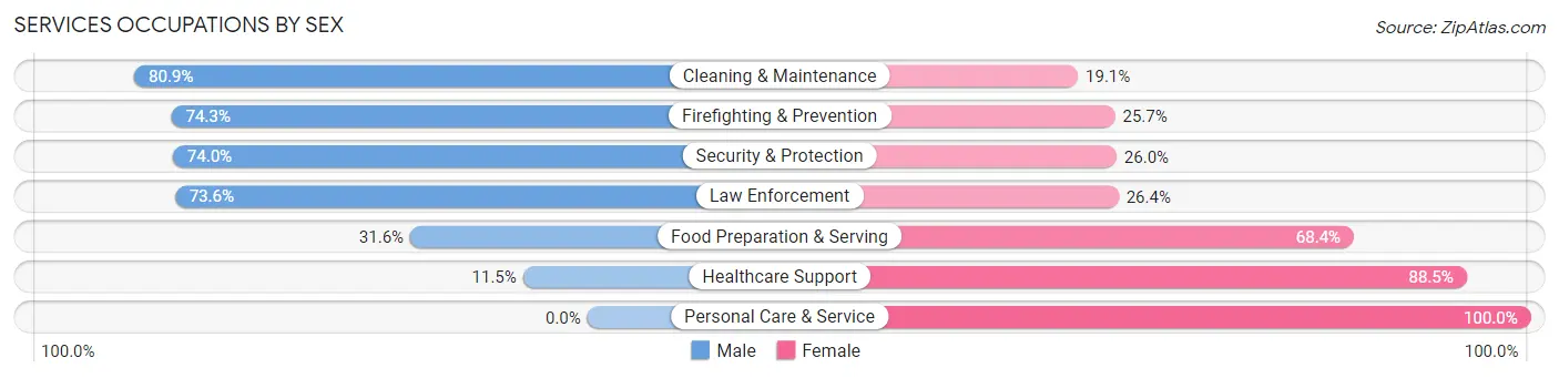 Services Occupations by Sex in Zip Code 19709