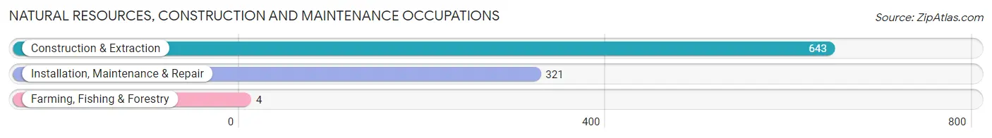 Natural Resources, Construction and Maintenance Occupations in Zip Code 19734