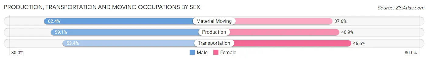 Production, Transportation and Moving Occupations by Sex in Zip Code 19801