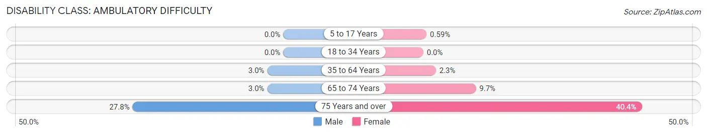 Disability in Zip Code 19810: <span>Ambulatory Difficulty</span>