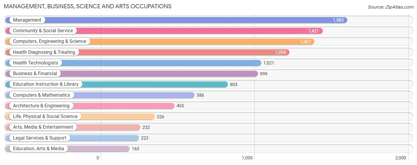 Management, Business, Science and Arts Occupations in Zip Code 19810