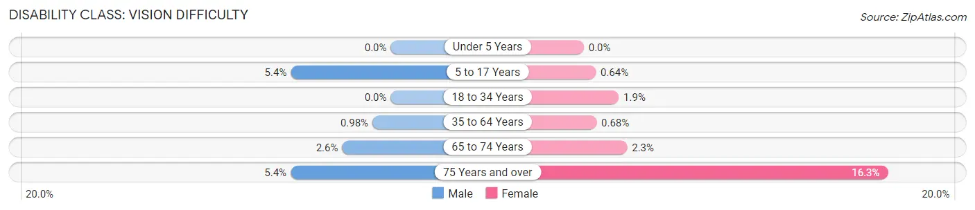 Disability in Zip Code 19810: <span>Vision Difficulty</span>