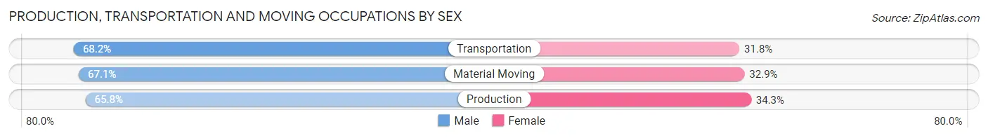 Production, Transportation and Moving Occupations by Sex in Zip Code 19901