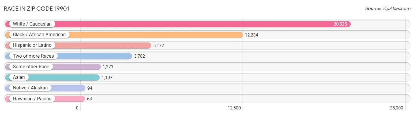 Race in Zip Code 19901