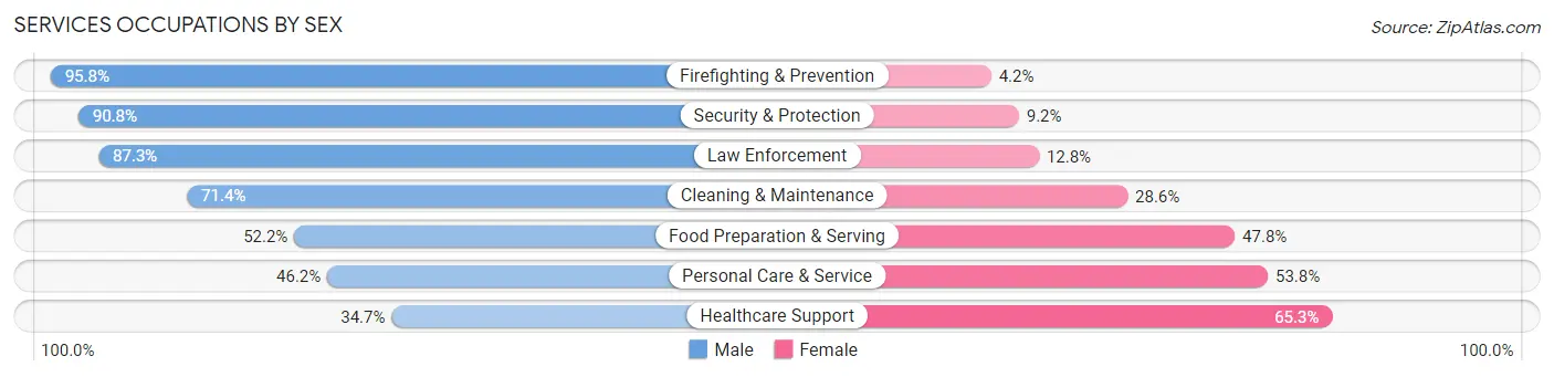 Services Occupations by Sex in Zip Code 19904