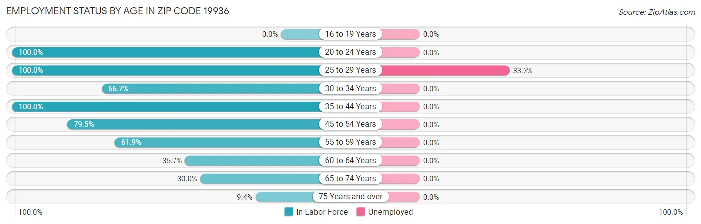 Employment Status by Age in Zip Code 19936