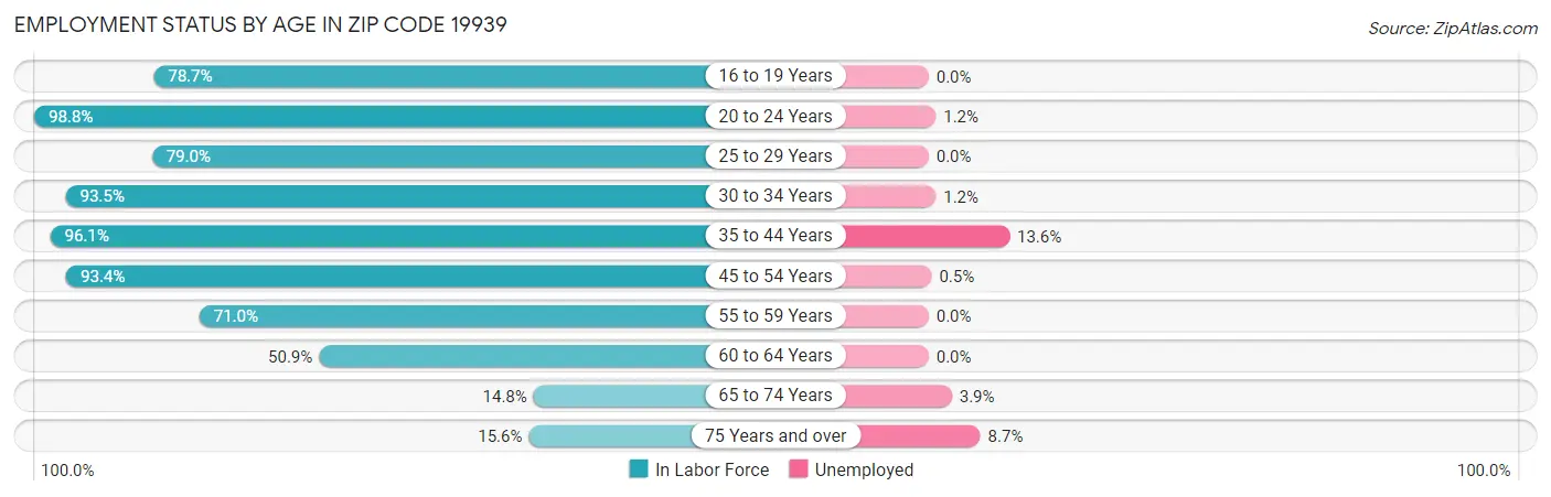 Employment Status by Age in Zip Code 19939