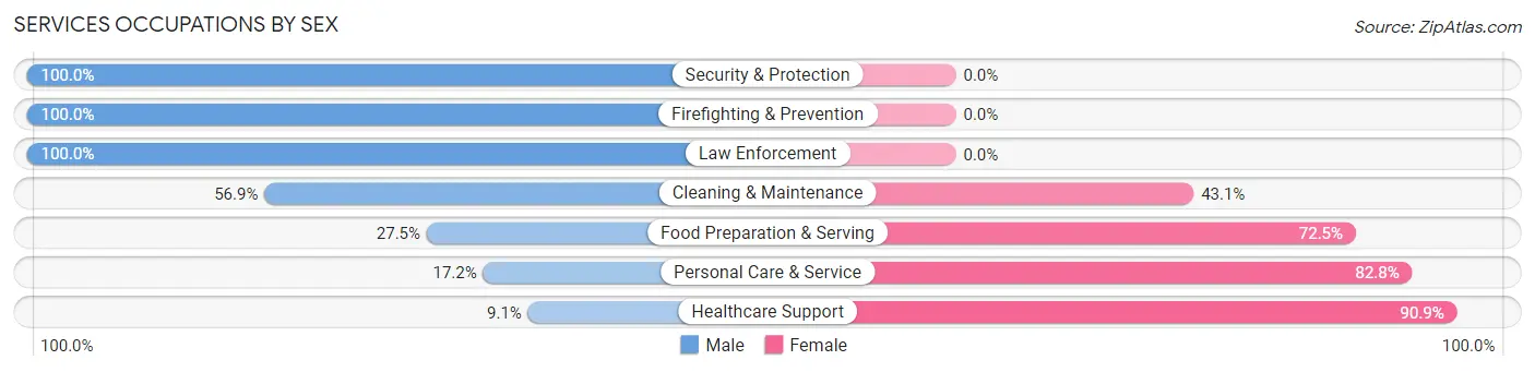 Services Occupations by Sex in Zip Code 19940