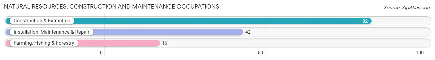 Natural Resources, Construction and Maintenance Occupations in Zip Code 19941