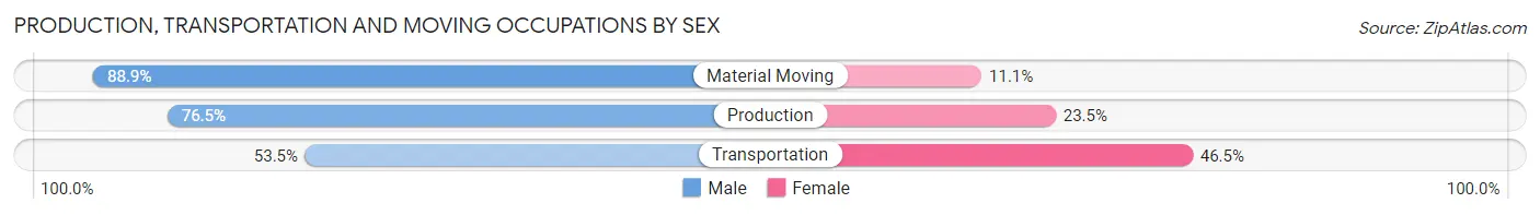 Production, Transportation and Moving Occupations by Sex in Zip Code 19943