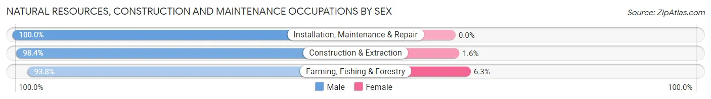 Natural Resources, Construction and Maintenance Occupations by Sex in Zip Code 19945