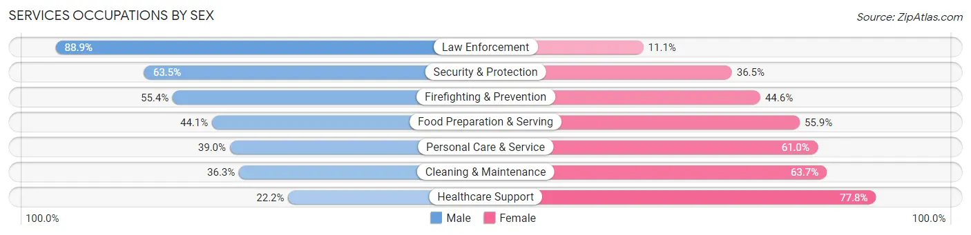 Services Occupations by Sex in Zip Code 19945