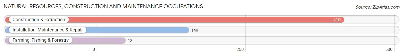 Natural Resources, Construction and Maintenance Occupations in Zip Code 19950