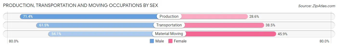 Production, Transportation and Moving Occupations by Sex in Zip Code 19953