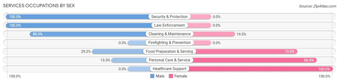 Services Occupations by Sex in Zip Code 19953
