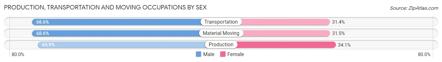 Production, Transportation and Moving Occupations by Sex in Zip Code 19956