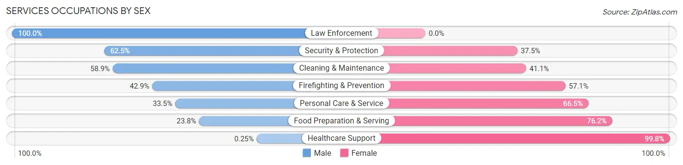 Services Occupations by Sex in Zip Code 19956