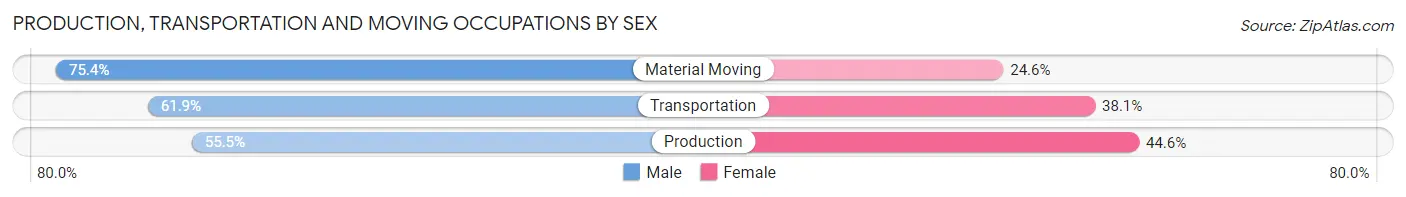 Production, Transportation and Moving Occupations by Sex in Zip Code 19962