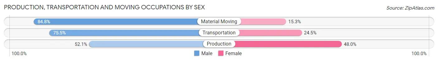 Production, Transportation and Moving Occupations by Sex in Zip Code 19963