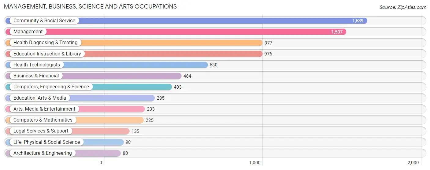 Management, Business, Science and Arts Occupations in Zip Code 19966