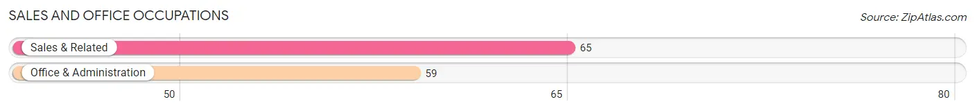 Sales and Office Occupations in Zip Code 19967
