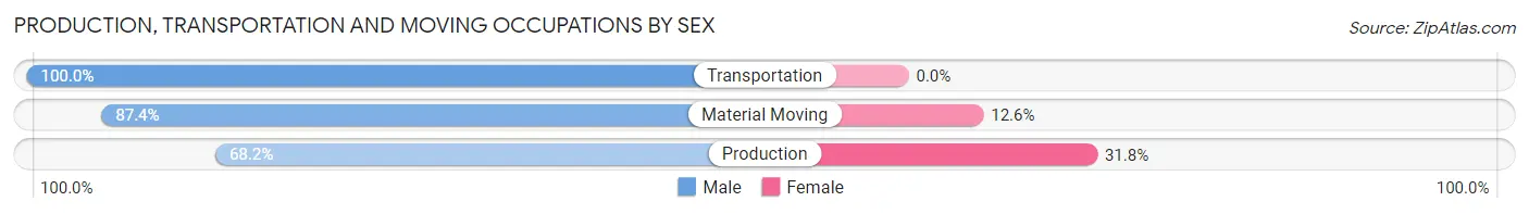 Production, Transportation and Moving Occupations by Sex in Zip Code 19975