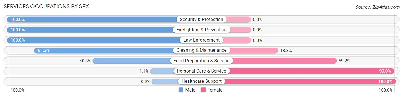 Services Occupations by Sex in Zip Code 19975