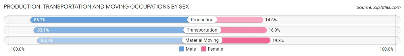 Production, Transportation and Moving Occupations by Sex in Zip Code 19977